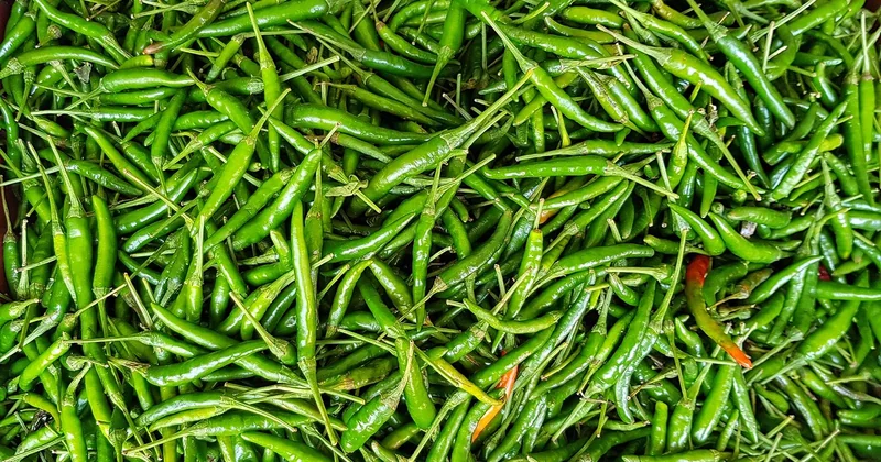 Conservation, batch cooking : ce que je fais réellement